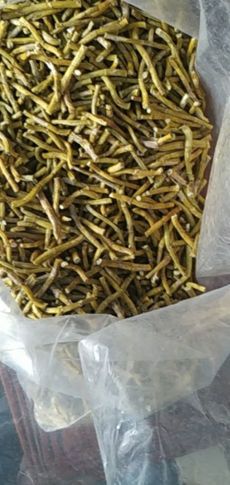 原产地石斛正宗铁皮石斛霍山石斛产地直销常年供应