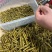 原产地石斛正宗铁皮石斛霍山石斛产地直销常年供应