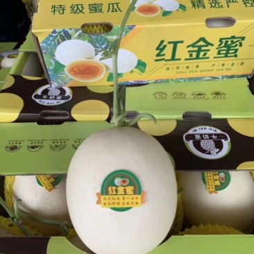 红金蜜，皮毛光滑，口感脆甜，