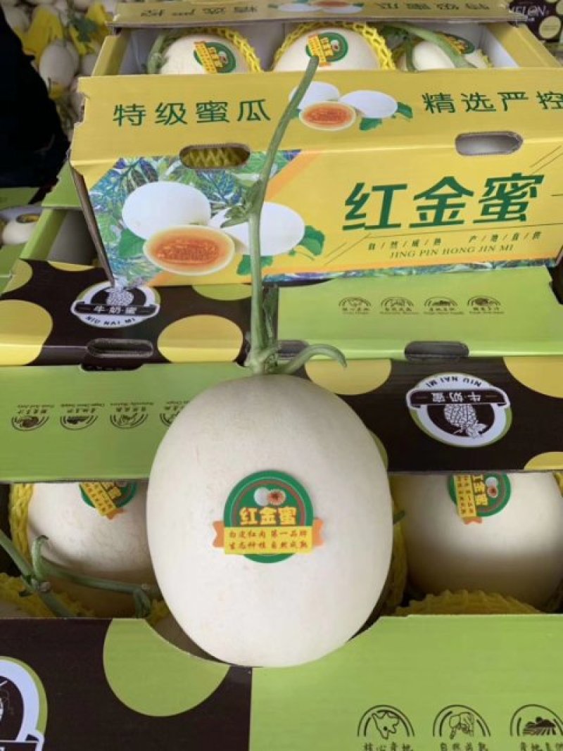 红金蜜，皮毛光滑，口感脆甜，