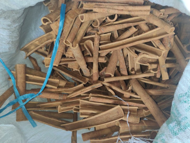 特价广西桂皮农户一手统货大量
