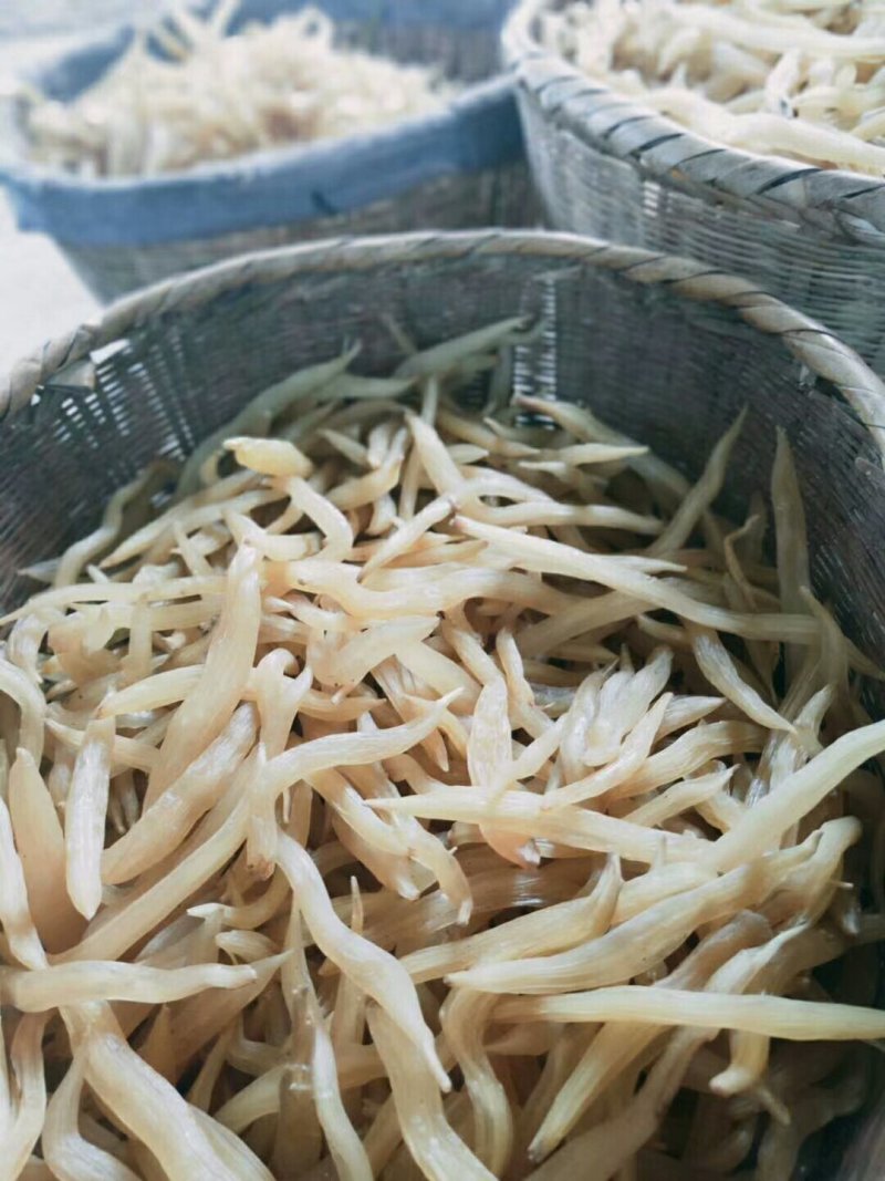 云南大理大天冬成品干货(可检测)