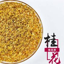 新货花草茶批发桂花散装桂花干干桂花无硫桂花茶