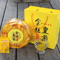 大量供应修水金丝皇菊黄菊一朵一杯单朵袋装盒装大菊花花草茶
