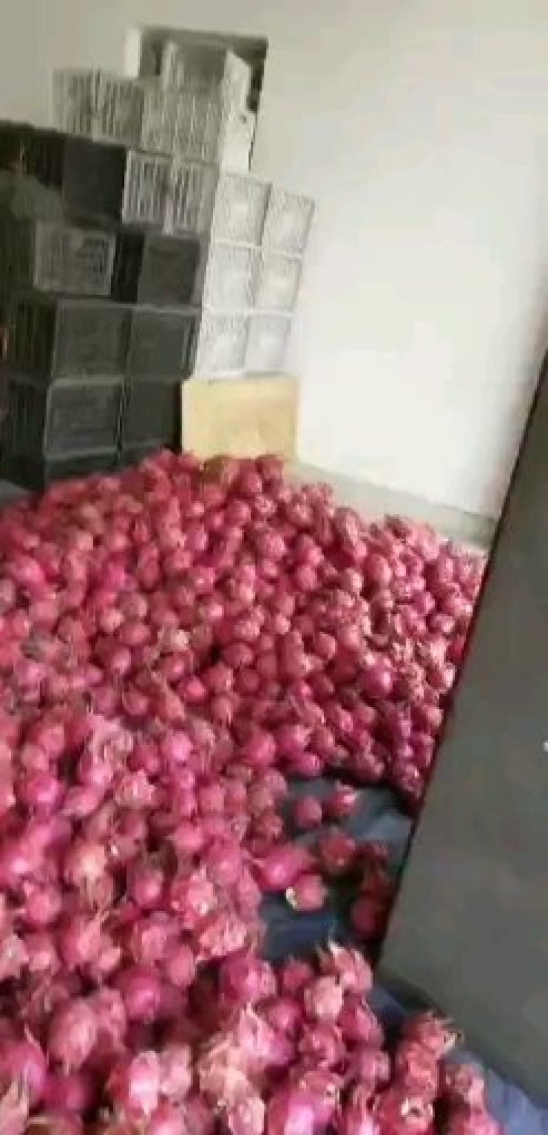 实力代办