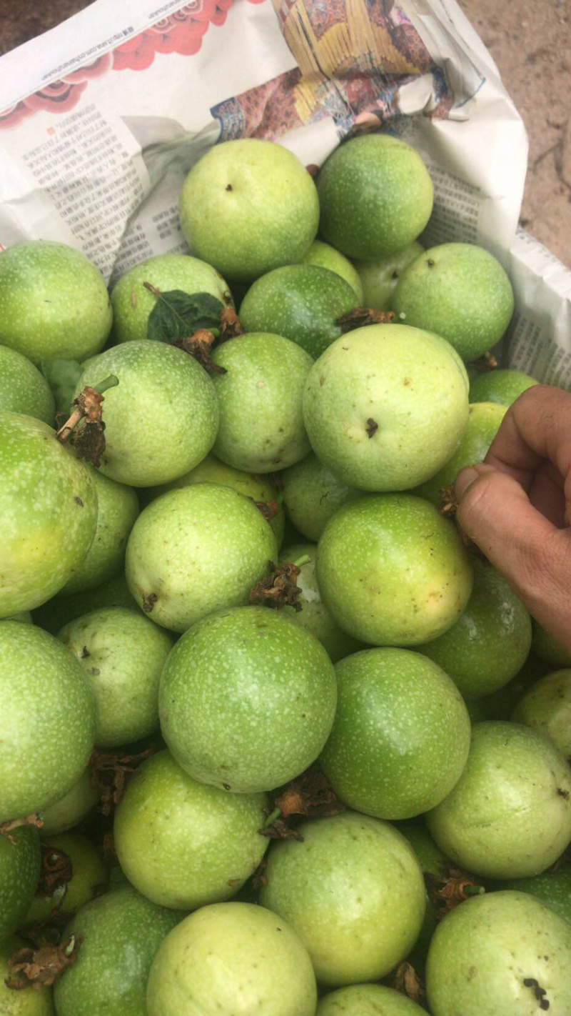 大量批发黄金百香果