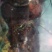 鲜活冷冻波士顿大龙虾，80一只