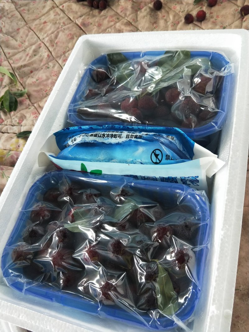 超级大东魁已上市，汁多肉厚！味道纯正。欢迎订购！！！！！