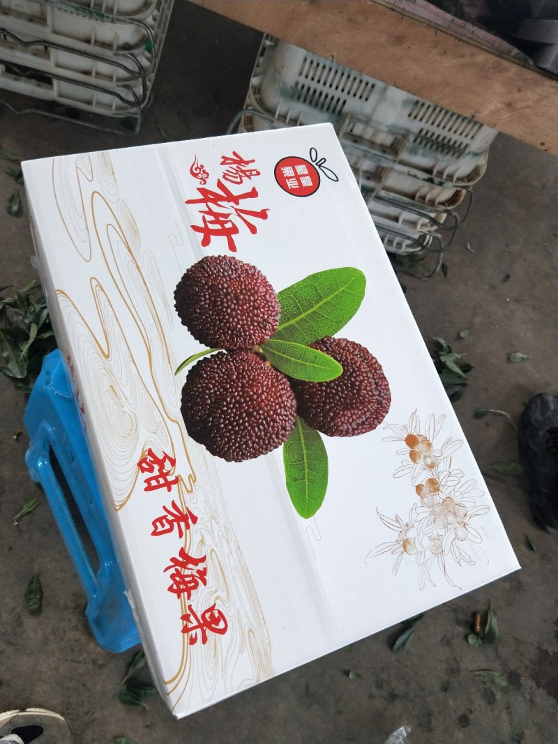 超级大东魁已上市，汁多肉厚！味道纯正。欢迎订购！！！！！