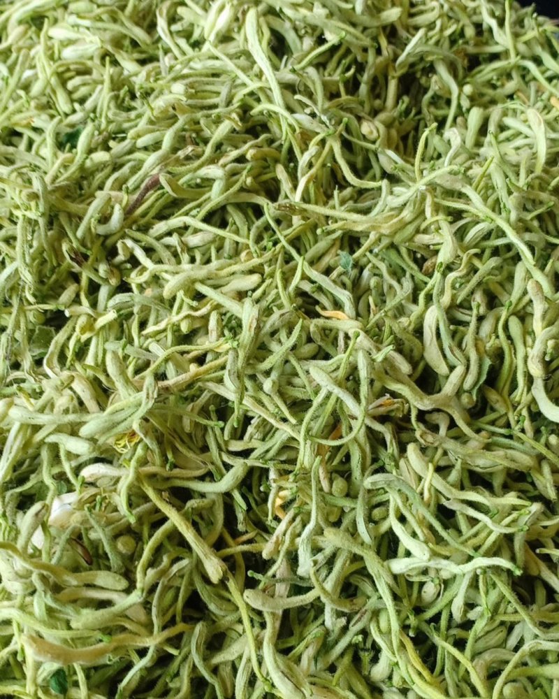 青货金银花，沂蒙山山区里的优质金银花，批发零售，产地直发