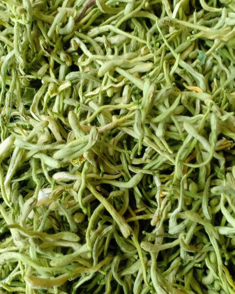 青货金银花，沂蒙山山区里的优质金银花，批发零售，产地直发