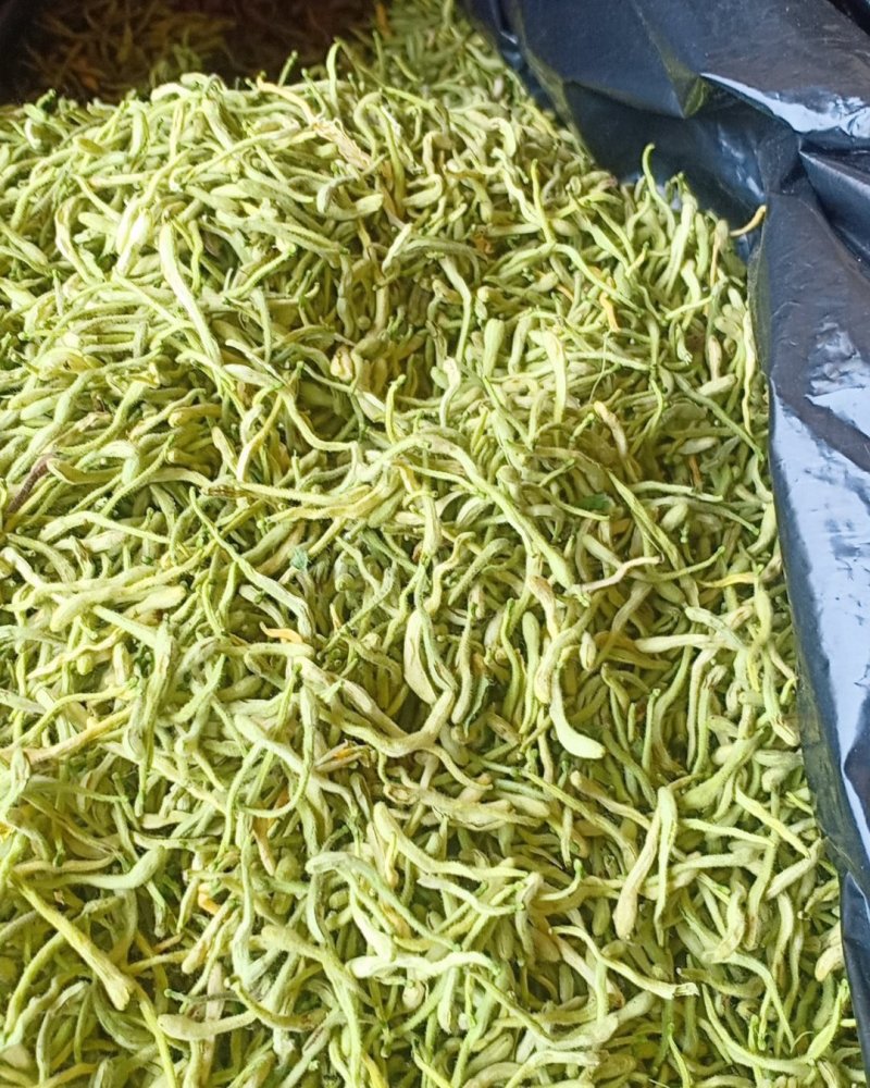 青货金银花，沂蒙山山区里的优质金银花，批发零售，产地直发