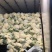 山西新鲜有机花菜松花菜产地批发大量上市价格从优