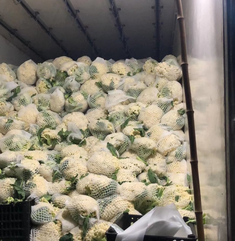 山西新鲜有机花菜松花菜产地批发大量上市价格从优