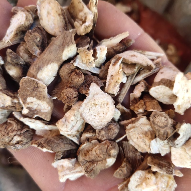 白术新货浙白术颗粒10个筛的以上的小块关书药业