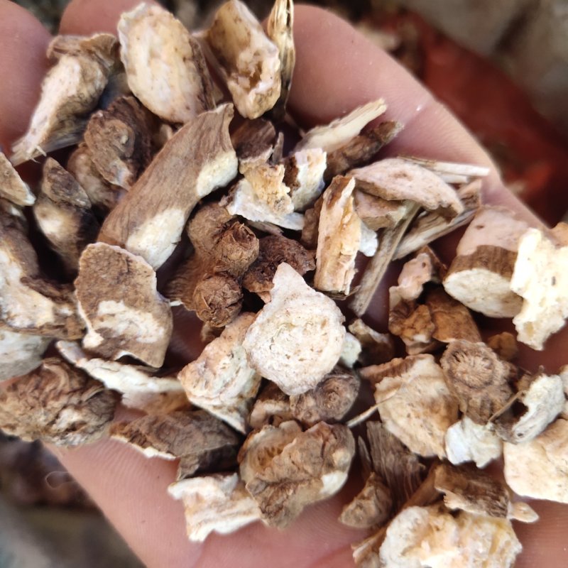 白术新货浙白术颗粒10个筛的以上的小块关书药业
