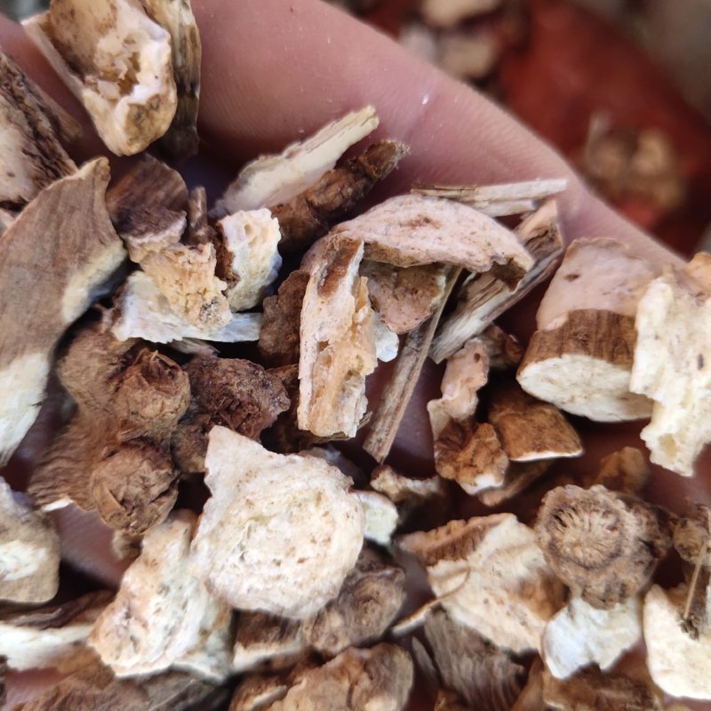 白术新货浙白术颗粒10个筛的以上的小块关书药业