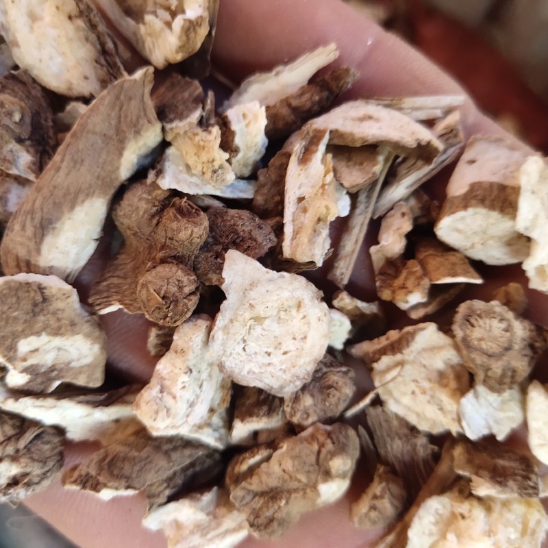 白术新货浙白术颗粒10个筛的以上的小块关书药业
