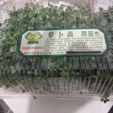 芽苗菜