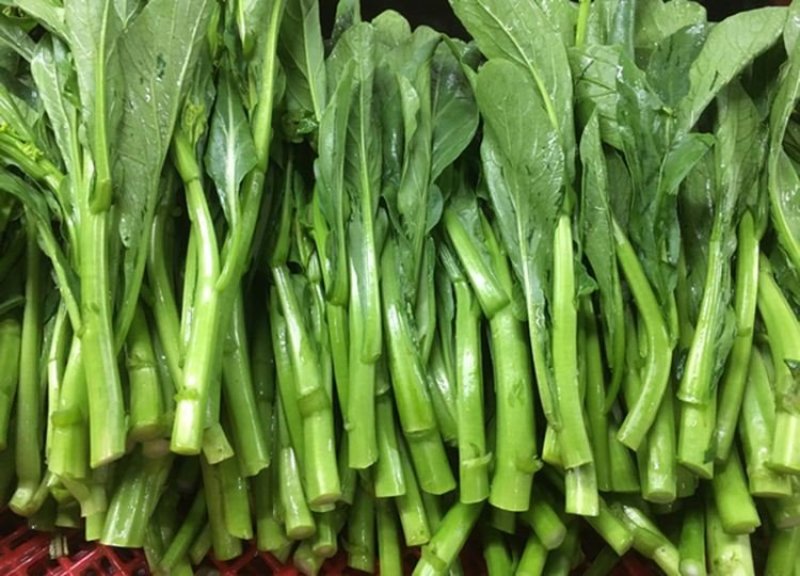 四季菜心，粗条，油绿，耐热，四季可播种，早熟品种，