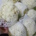 精品散花松花菜产地直销质量保证量大从优合作共赢