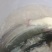 鲶鱼土鲶鱼