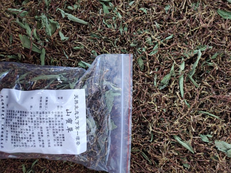 野生山蜜草甜叶菊配铁观音茶梗开水冲服