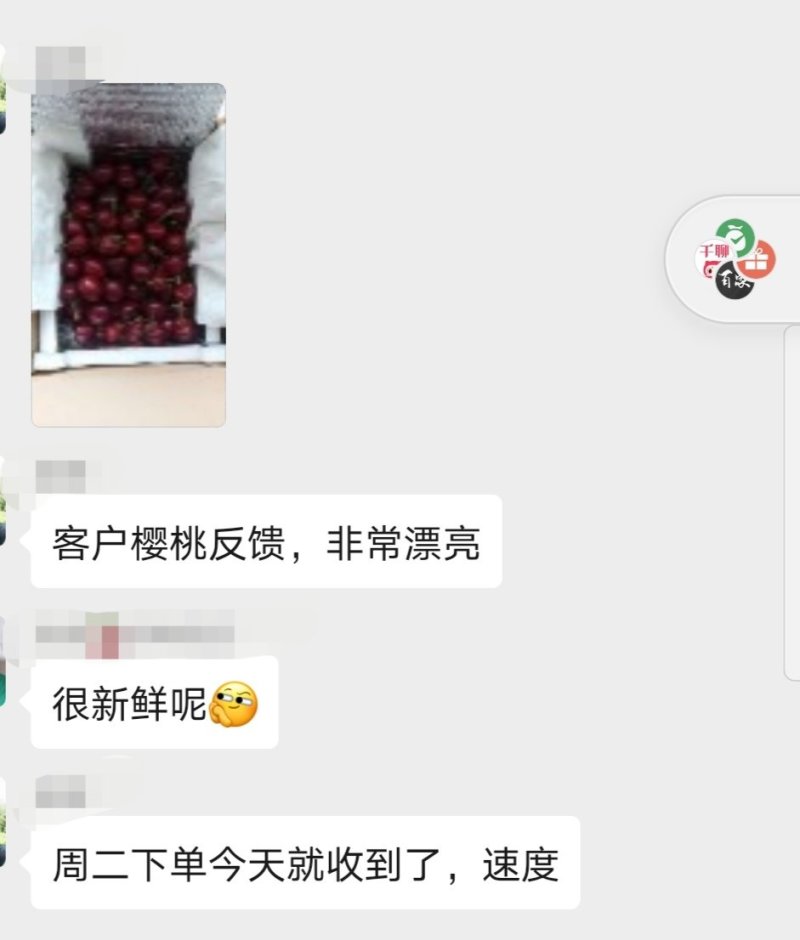 烟台露天大樱桃空运一件代发黄水晶黑珍珠萨米脱高品质招代理