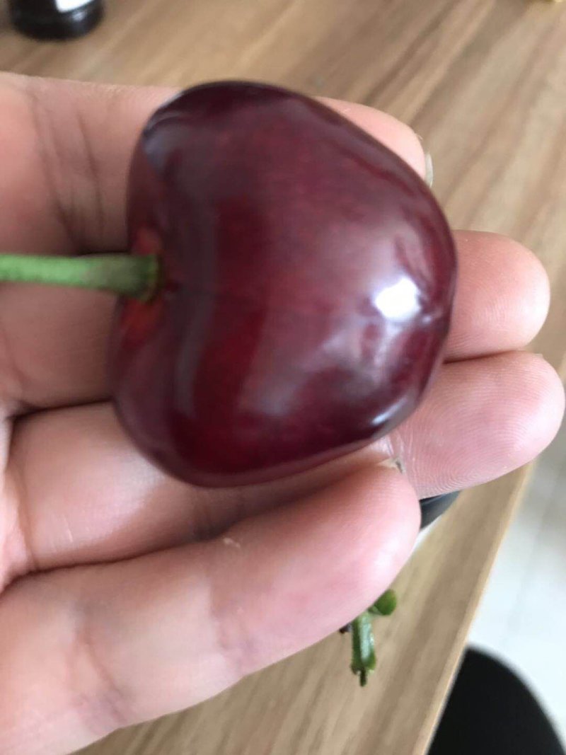 高品质烟台露天大樱桃顺丰空运黑珍珠萨米豆黄蜜美早一件代发