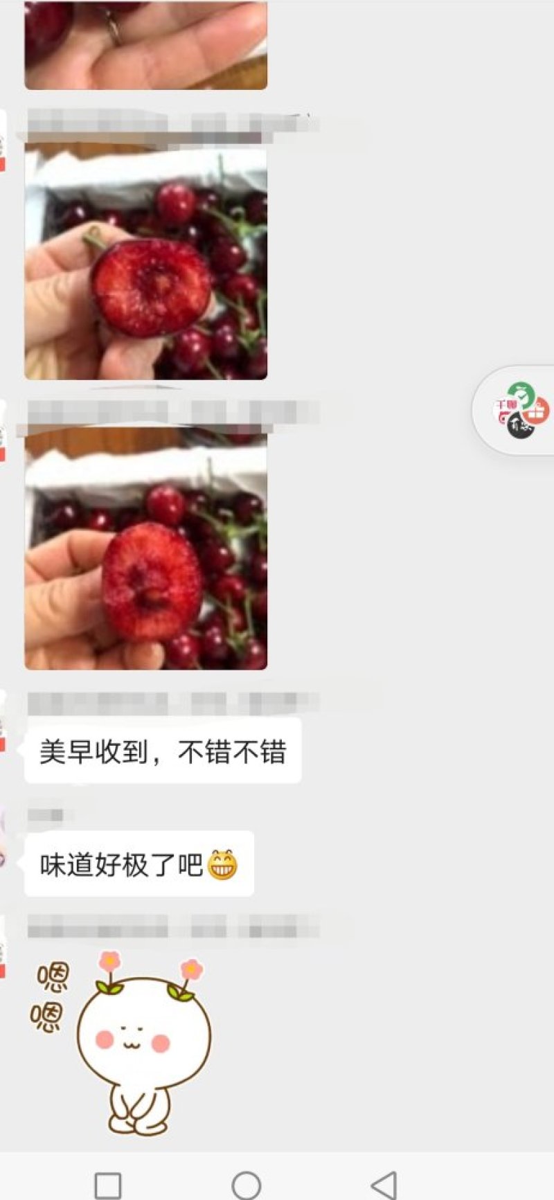 高品质烟台露天大樱桃萨米豆黄蜜黑珍珠美早一件代发招代理