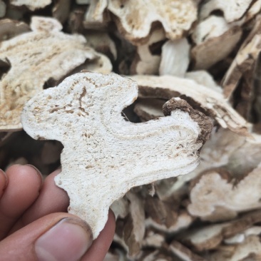 中药材白术片规格齐全无硫干货可代打粉