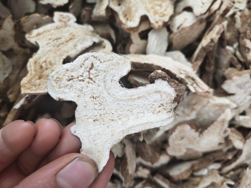 中药材白术片规格齐全无硫干货可代打粉