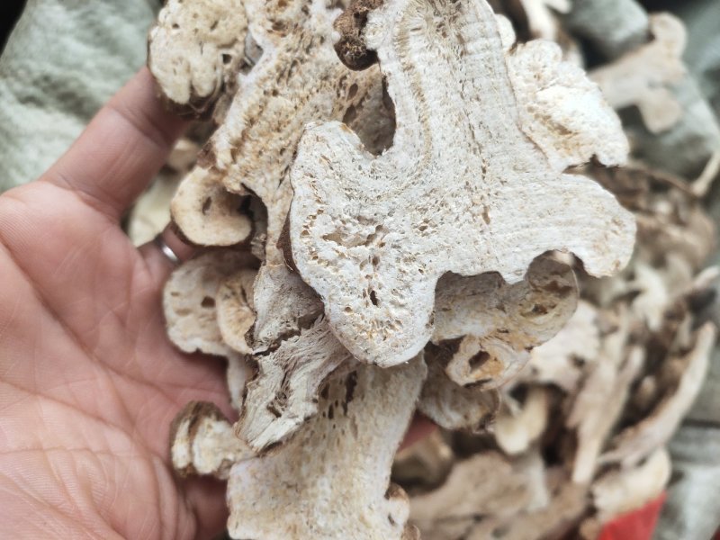 中药材白术片规格齐全无硫干货可代打粉