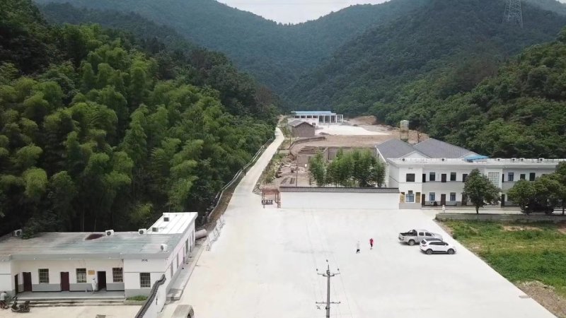 九华黄精野生黄精片白片生片饮片厂用黄精片煲汤