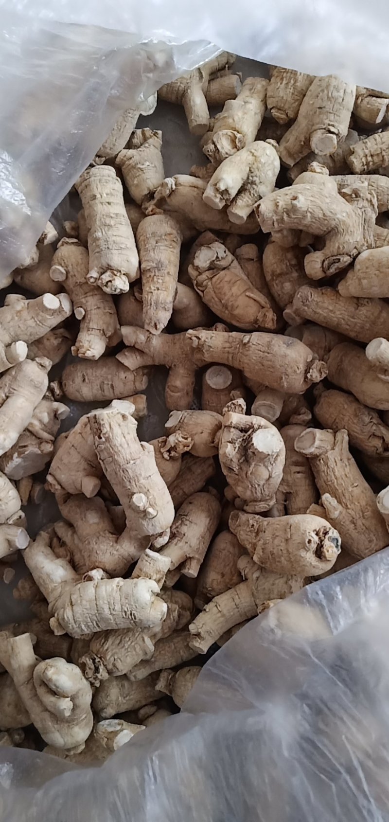 万良西洋参粒头250g吉林西洋参片花旗参500g
