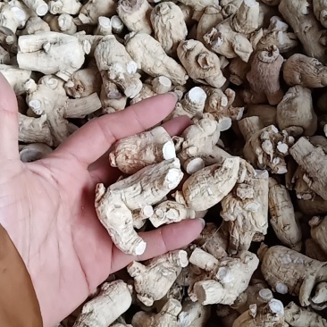 万良西洋参粒头250g吉林西洋参片花旗参500g