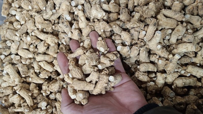 万良西洋参粒头250g吉林西洋参片花旗参500g