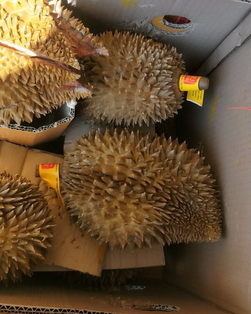 水果批发