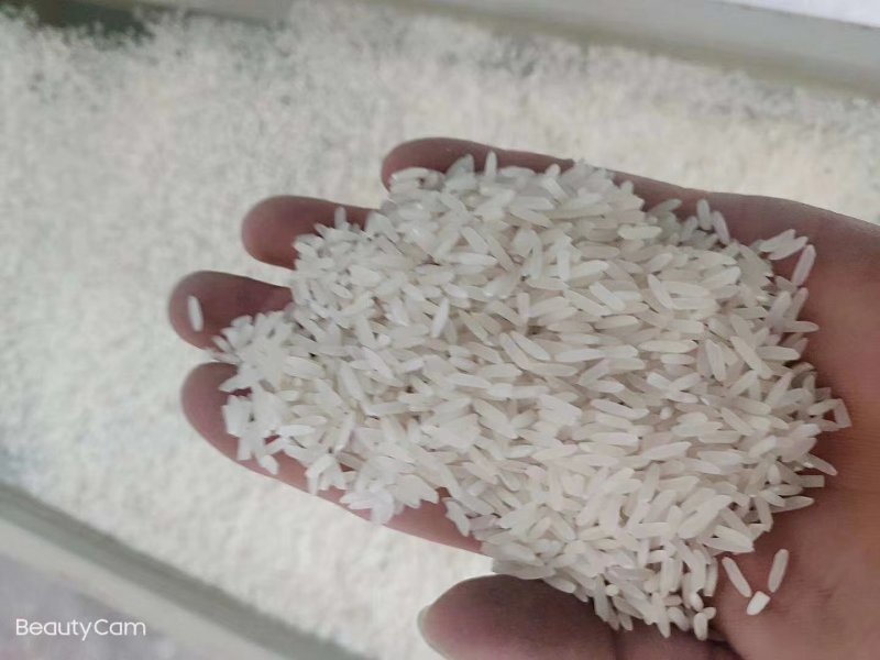 长沙碾米机15型成套设备