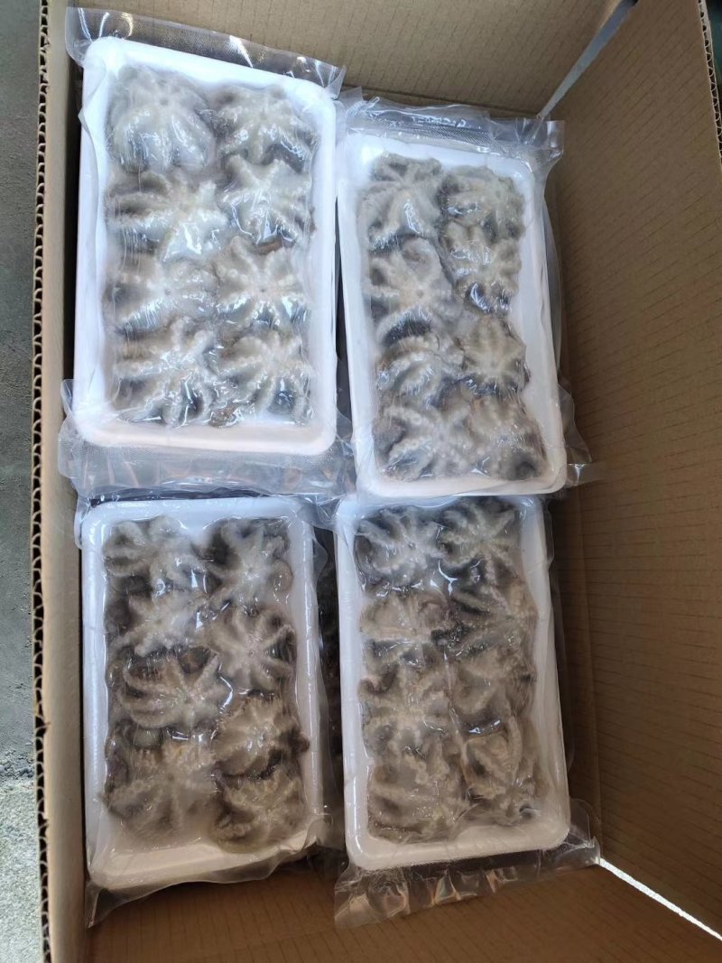 八爪鱼三去翻花可以贴牌生产八爪鱼原料