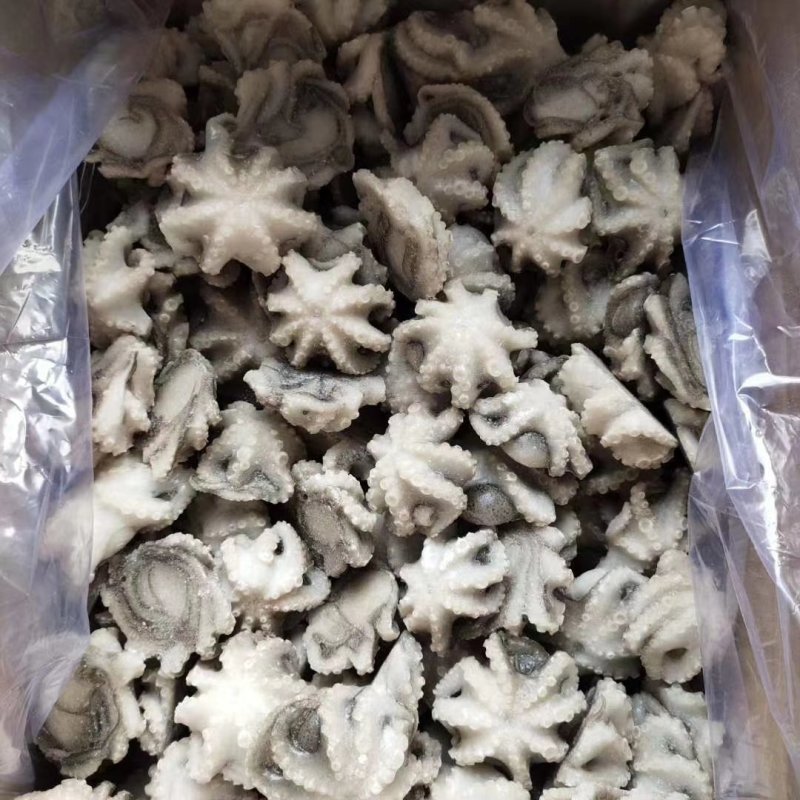 八爪鱼三去翻花可以贴牌生产八爪鱼原料