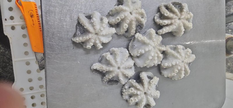 八爪鱼三去翻花可以贴牌生产八爪鱼原料