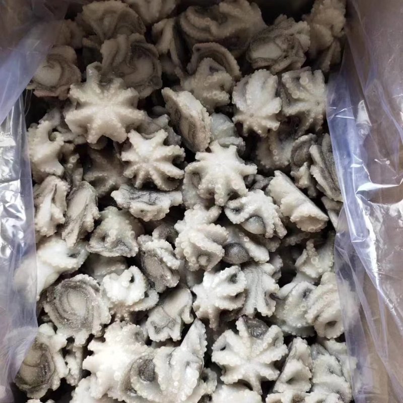 八爪鱼三去翻花可以贴牌生产八爪鱼原料