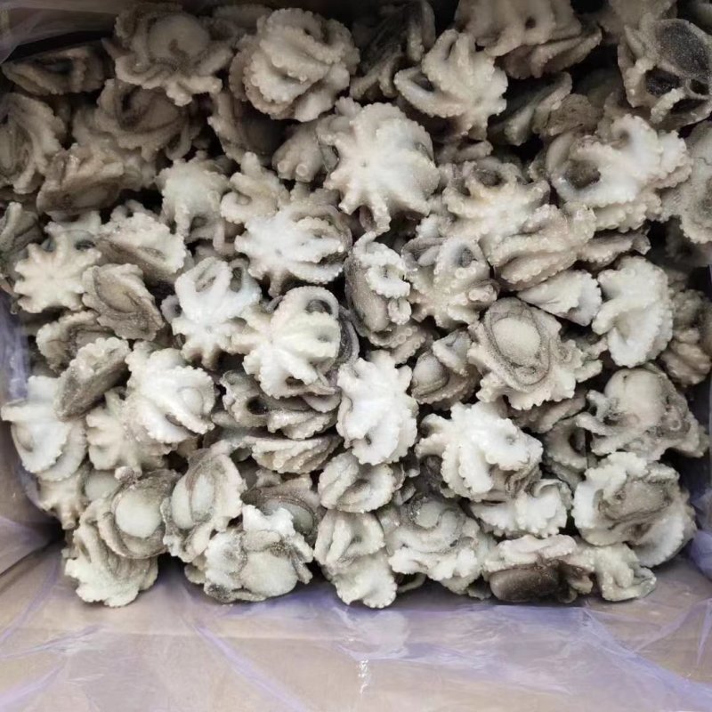 八爪鱼三去翻花可以贴牌生产八爪鱼原料