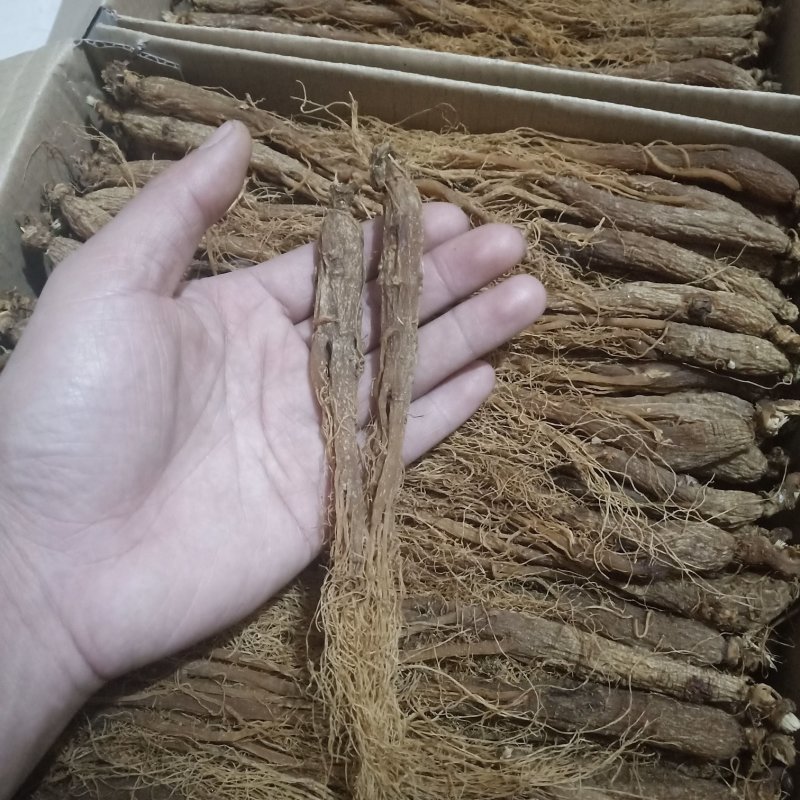 【一件代发】人参无糖红全须红参红参片光枝