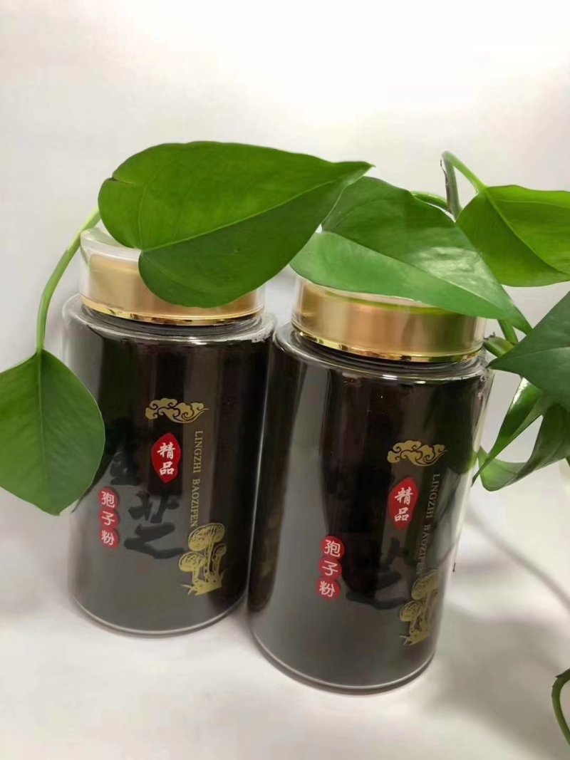 【一件代发】长白山当地灵芝孢子粉500g