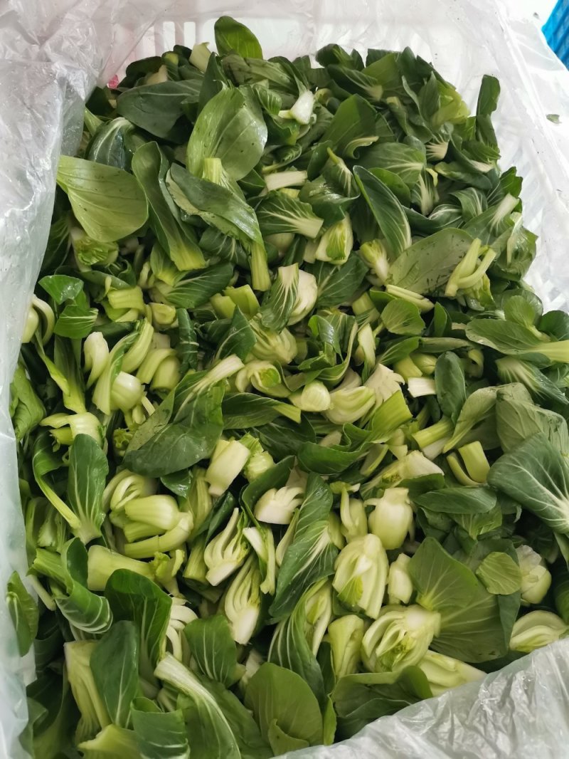 供应各种新鲜蔬菜、净菜加工配送