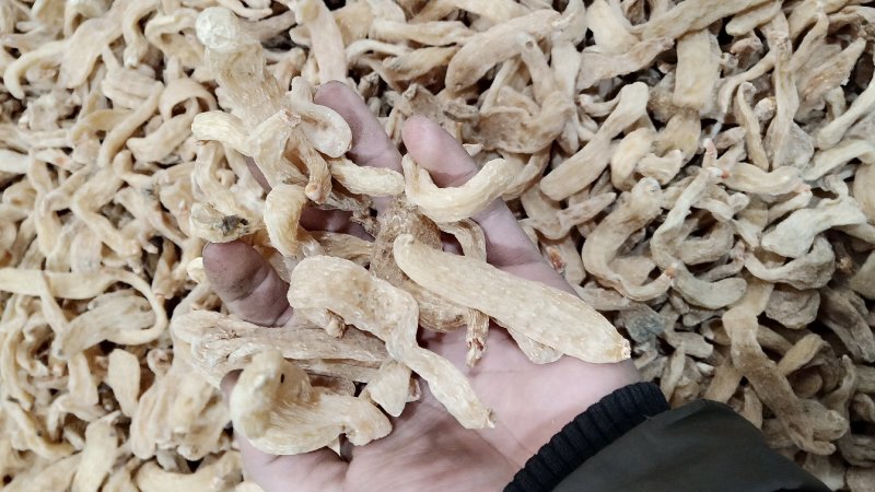 【一件代发】长白山天麻林下天麻特级天麻粉片产地发货