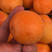 金太阳红杏，大量现货！欢迎实地采摘！