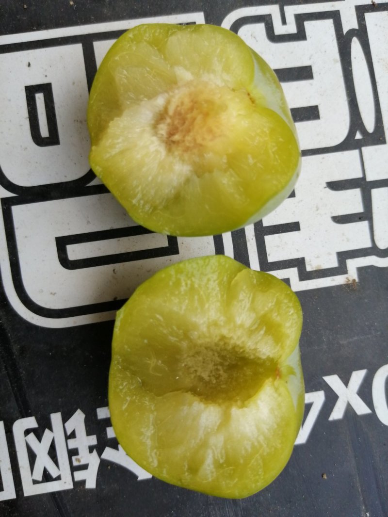 李子